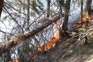 incendio Parco dell'Etna