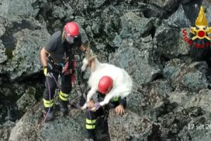 Bronte, salvate due capre cadute in una voragine: animali intrappolati sul Monte Egitto