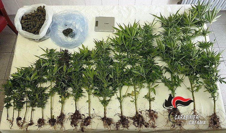 Maniace, la cassaforte in bagno per nascondere la droga: denunciato 39enne