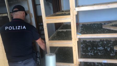 Catania, in azienda agricola 8 lavoratori in nero con reddito di cittadinanza: erano anche senza mascherina