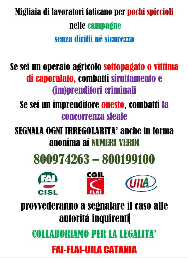 Catania, due numeri verdi contro il caporalato: Fai, Flai e Uila a difesa degli operai agricoli vittime di sfruttamento