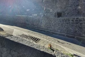 Adrano, c’è un topolino sotto il Castello: in città ormai arrivano solo quattro gatti