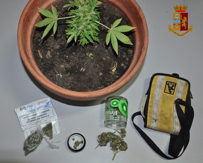 Adrano, 27enne denunciato per detenzione e produzione illecita di droga: in casa aveva semi e fiori di marijuana