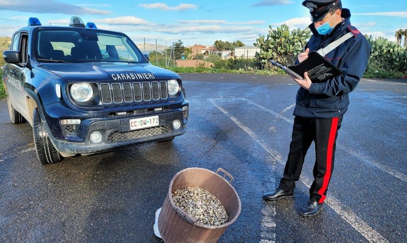 Palagonia, in via Palermo sequestrate 30 kg di telline: denunciato venditore ambulante