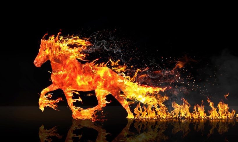 La corsa dei cavalli e la città che brucia: c’è bisogno di una cura