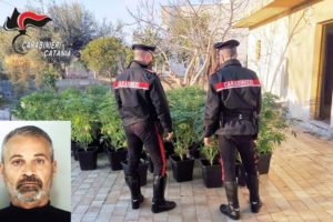 Catania, una serra di marijuana allestita in casa: a Vaccarizzo arrestato 52enne (VIDEO)