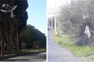 Paternò, gli alberi dell’immondizia: rifiuti disseminati in molti angoli della città