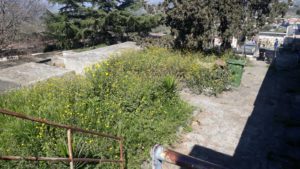 Paternò, le visioni horror del cimitero monumentale: loculi quasi aperti ed erbacce tra le tombe