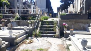 Paternò, le visioni horror del cimitero monumentale: loculi quasi aperti ed erbacce tra le tombe