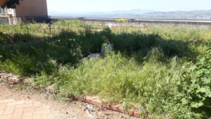 Paternò, le visioni horror del cimitero monumentale: loculi quasi aperti ed erbacce tra le tombe