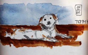 La gatta e il cagnolino: storia buffa ed eterna di due vicini di casa