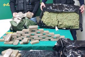 Catania, GdF sequestra 165 kg di marijuana ad alto potenziale: arrestate 3 persone