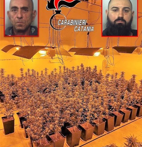 Catania, a S. G. Galermo scoperta coltivazione casalinga di 'skunk': due arresti