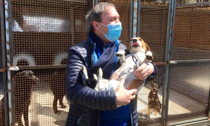 Paternò, l’autoparco comunale è il nuovo rifugio provvisorio dei cani randagi: lo ha comunicato il sindaco Naso