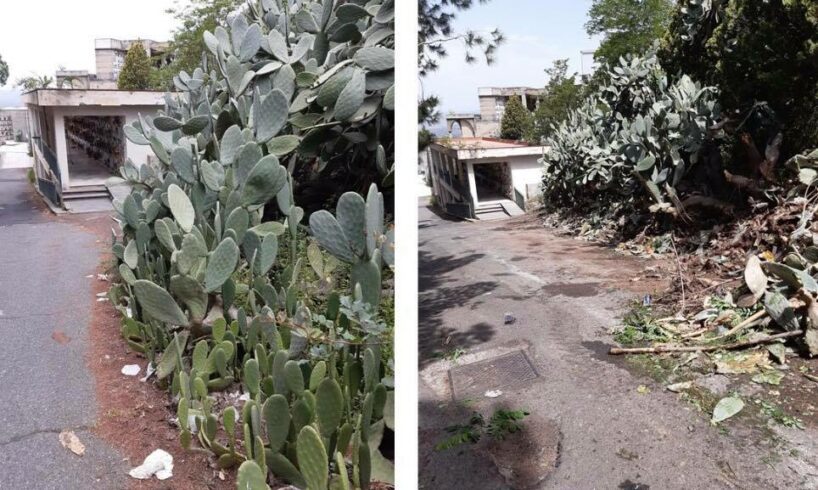 Paternò, interventi nel cimitero monumentale: via le erbacce e ripristino della pavimentazione