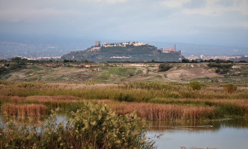 Paternò, Archeoclub ‘Hybla Major’ promuove restituzione di oltre 200 reperti conservati a Catania: Soprintendenza avvia procedure