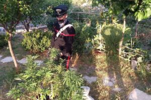Droga, spaccio nei locali della movida di Taormina e Giardini Naxos: 3 arresti