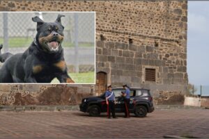 Motta Sant’Anastasia, libera il rottweiler contro i carabinieri allertati dalla moglie maltrattata: 39enne arrestato