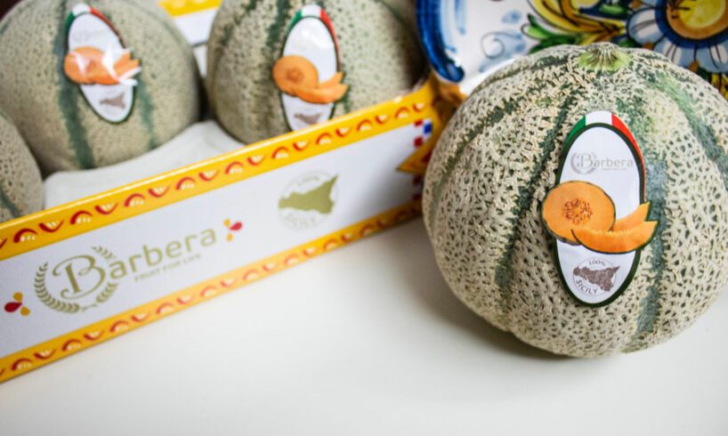Adrano, i meloni di Barbera imbattili in tutta Europa: export in oltre 30 Paesi