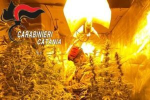 Castel di Iudica, nella frazione di Giumarra serra indoor di marijuana: arrestati 2 incensurati