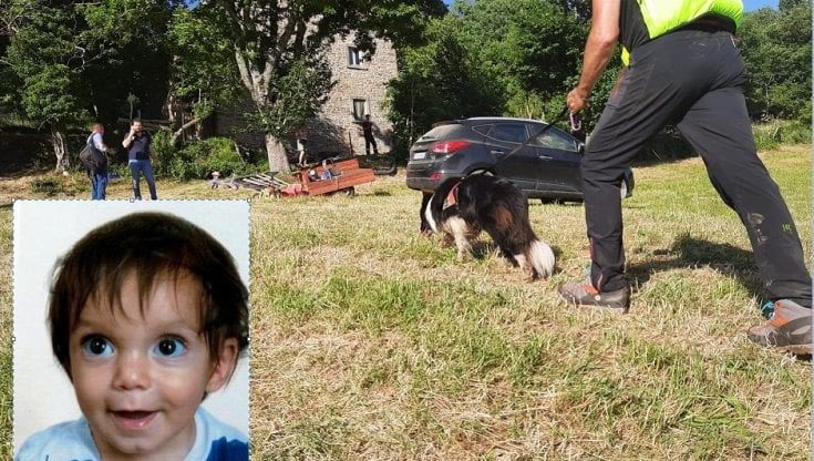 Firenze, ripartite le ricerche del bimbo scomparso: per trovare il piccolo Nicola cani molecolari e centinaia di volontari