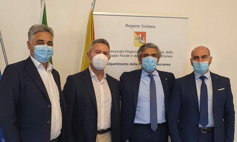 L’Oliva di Paternò a piccoli passi verso la certificazione Dop: incontro alla Regione