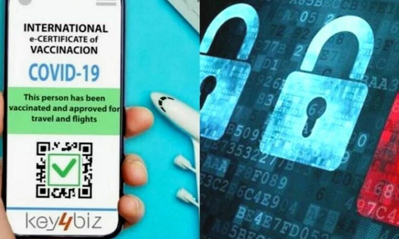 Covid, vaccini e falsi green pass da 110 a 130 euro: GdF scopre mercato nel dark web