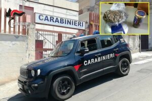 S. M. di Licodia, scoperto spacciatore 66enne: droga in casa e nell’orto due piantine di canapa indiana