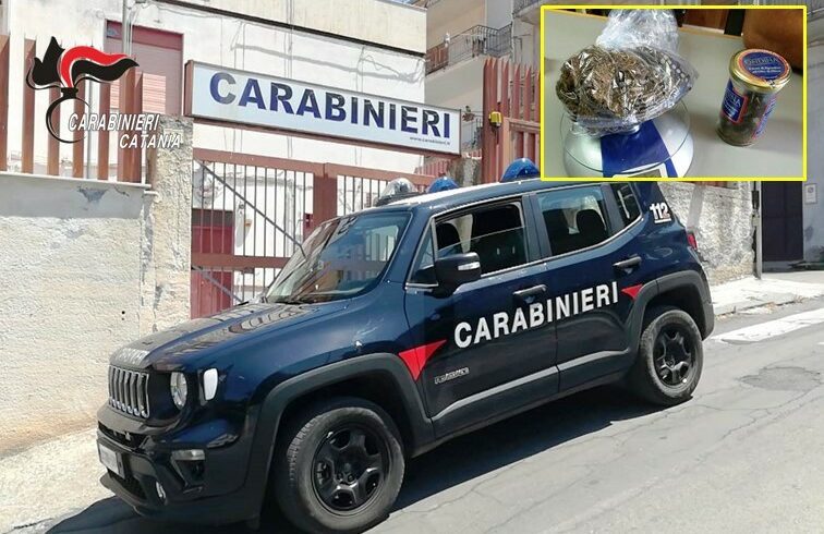 S. M. di Licodia, scoperto spacciatore 66enne: droga in casa e nell’orto due piantine di canapa indiana