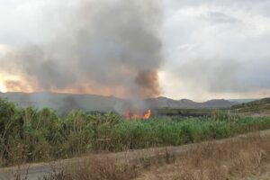 Paternò, incendio a Ponte Barca in area protetta: distrutti ettari di terreno