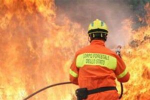 Incendi, in Sicilia stato di allerta generale: Regione revoca ferie a dirigenti e personale della Forestale