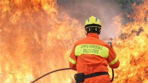 Incendi, in Sicilia stato di allerta generale: Regione revoca ferie a dirigenti e personale della Forestale