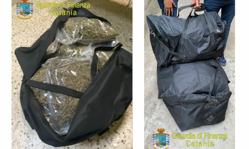 Catania, GdF sequestra 37 kg di marijuana ad alto potenziale: due persone arrestate