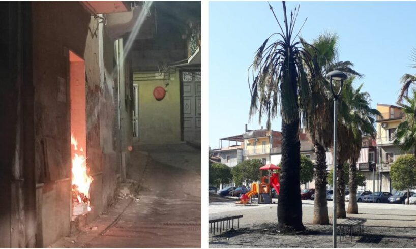 Paternò, incendiati portone d’ingresso e palme di Piazza Don Pino Puglisi: la denuncia di ‘Dinastia’