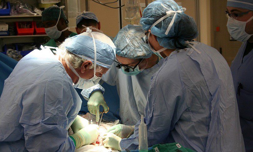 Catania, vuole diventare mamma la donna di 30 anni alla quale è stato trapiantato l’utero