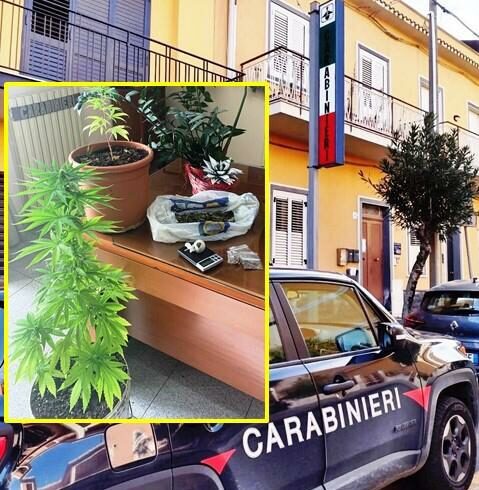 Pedara, nascondigli in casa per custodire la droga: arrestato 48enne