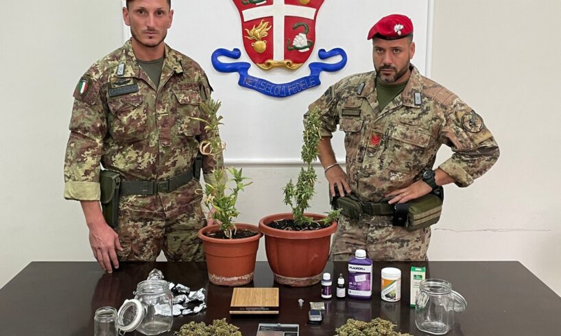 Motta S. Anastasia, la rivista specializzata in casa del produttore di cannabis: 25enne arrestato in flagranza