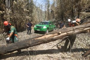 Incendi, già al lavoro i 25 carabinieri forestali arrivati in Sicilia da altre regioni italiane
