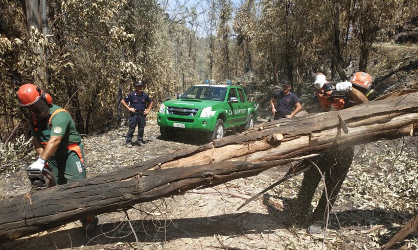 Incendi, già al lavoro i 25 carabinieri forestali arrivati in Sicilia da altre regioni italiane