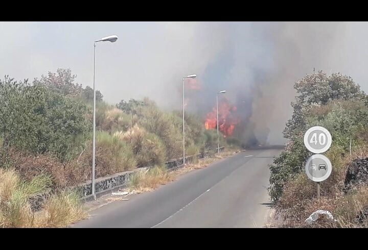Ragalna, vasto incendio in c.da Malaterra: le fiamme minacciano la piscina comunale