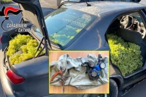 Catania, furti nelle campagne: in due avevano in auto 300 kg di uva. Donata alla Caritas