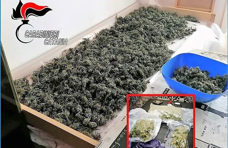 Giardini Naxos, in due appartamenti sequestrati 9 kg di marijuana: 48enne di Mascali arrestato in flagranza