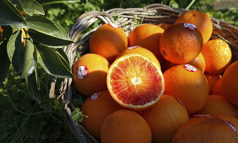 Catania, l’Arancia Rossa prova a scoprire l’America: domani incontro al Maas con responsabile export Usa