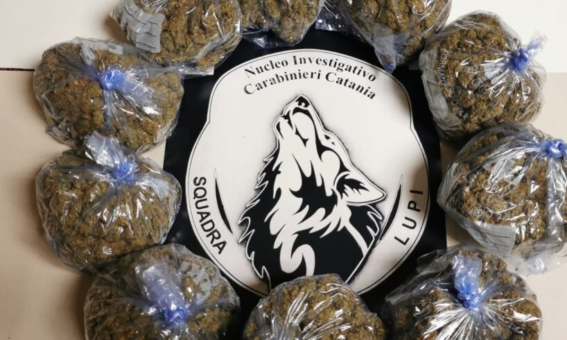 Catania, ‘Lupi’ sequestrano oltre 1 kg di ‘skunk’ a S. G. Galermo: nascosta nell’intercapedine esterna di una casa