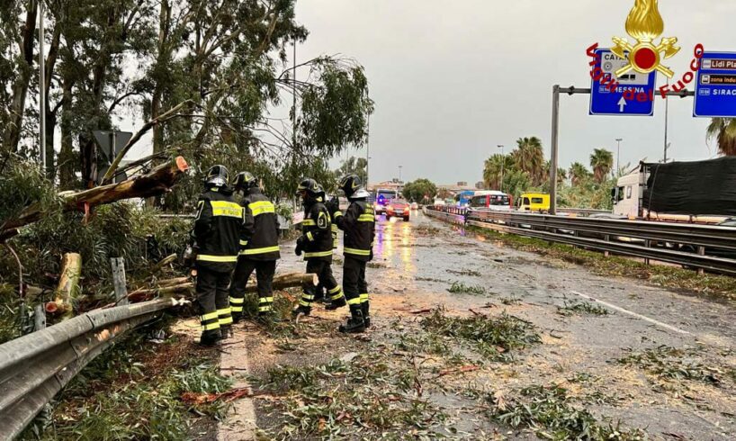 Maltempo, a Catania e in provincia alberi sradicati: in via S. Euplio e nell’Asse dei servizi