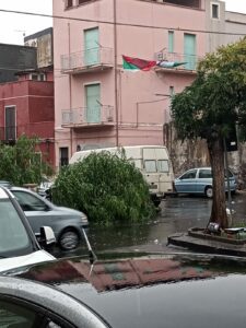 Maltempo, a Catania e in provincia alberi sradicati: in via S. Euplio e nell’Asse dei servizi