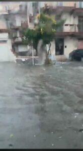 Maltempo, a Catania e in provincia alberi sradicati: in via S. Euplio e nell’Asse dei servizi