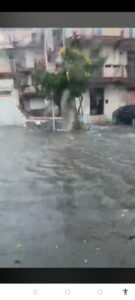 Maltempo, a Catania e in provincia alberi sradicati: in via S. Euplio e nell’Asse dei servizi