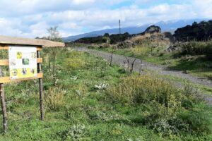 Bronte, l’antica discarica di Brignolo diventa un polmone verde: grazie a finanziamento di 497 mila euro
