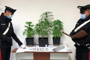 Vizzini, coltivazione casalinga di skunk: 51enne finisce ai domiciliari